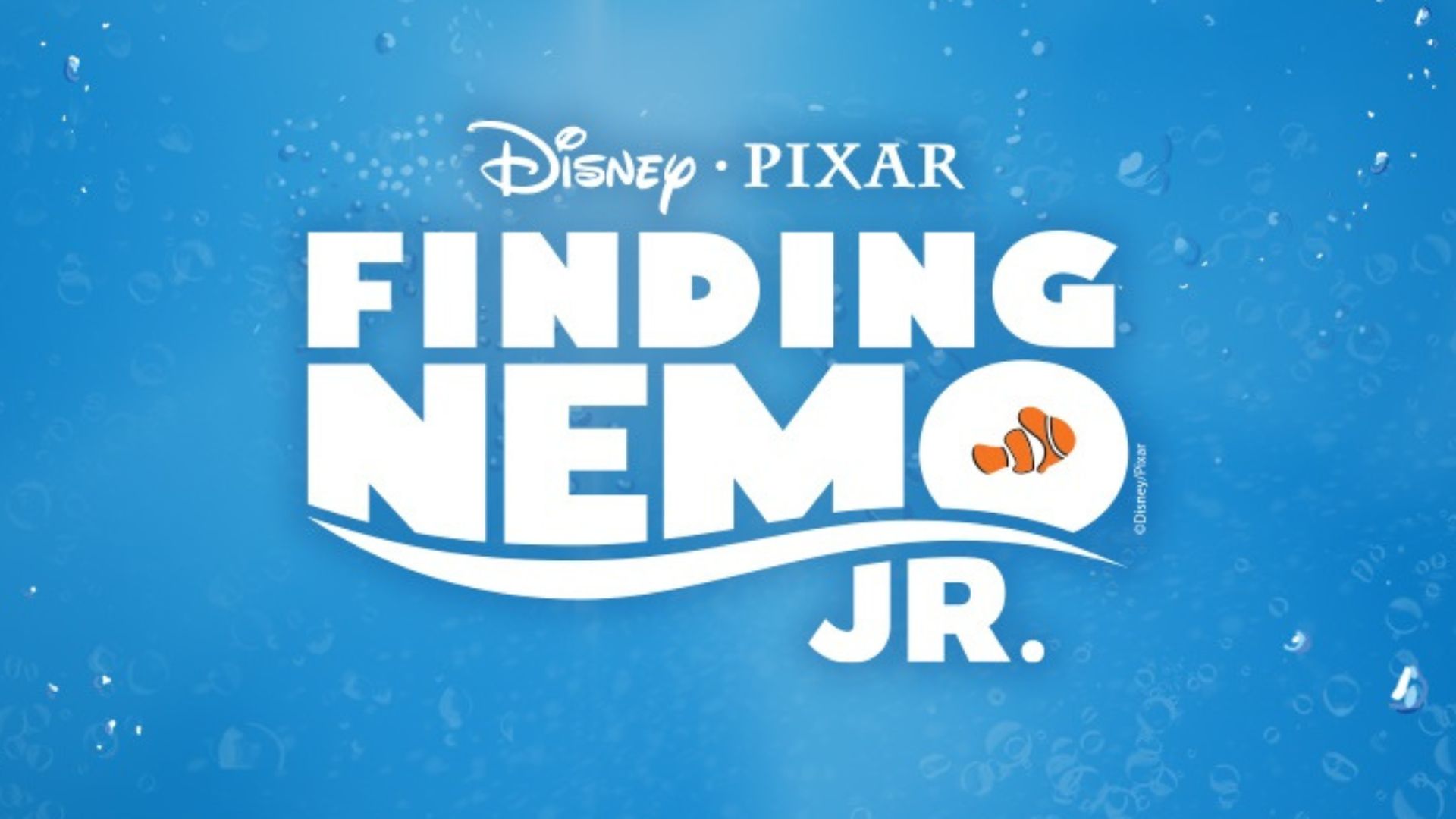 Finding Nemo Jr.